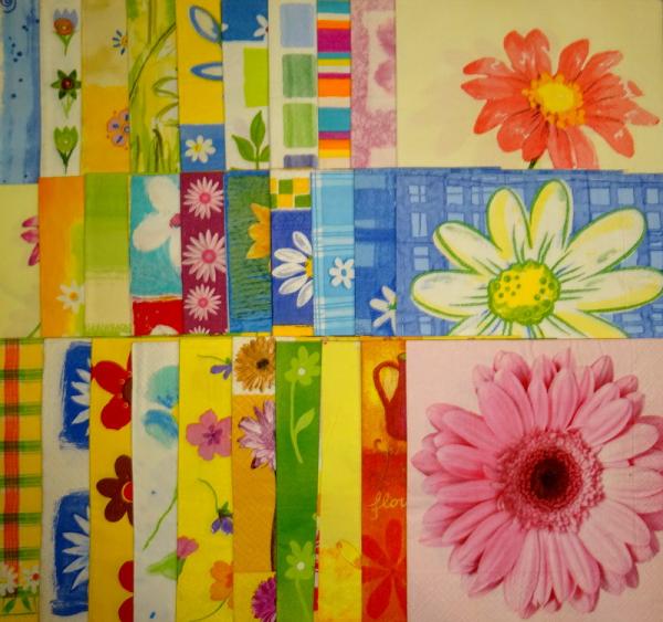 577 Roses - 3-ply - Sagen